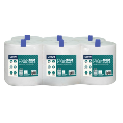Roll Premium 300 Dailyk - 6 rouleaux