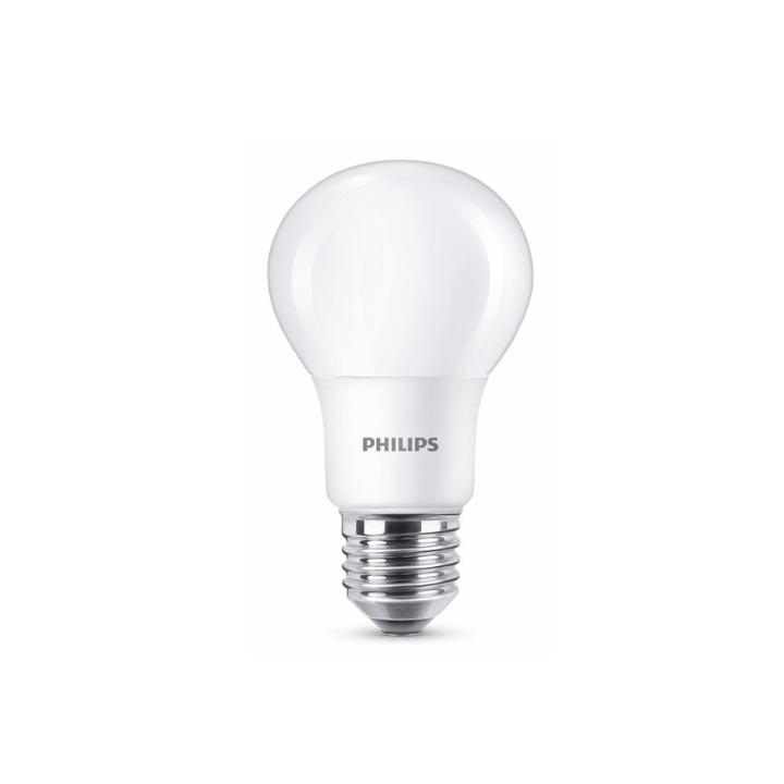 Lampe LED standard dépolie - E27