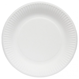 Assiette blanche - En carton 100% biodégradable - Carton de 1000