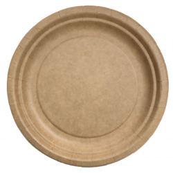 Assiette kraft - En carton 100% biodégradable - Carton de 450