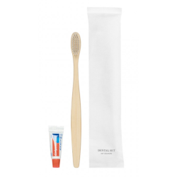Set dentaire - Eco essential - Carton de 100